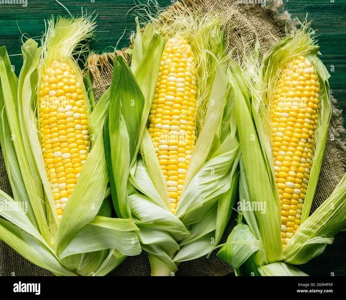 Is Corn a Fruit or a Vegetable The Surprising Truth