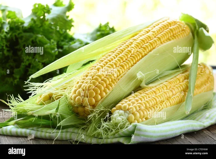 Is Corn a Vegetable