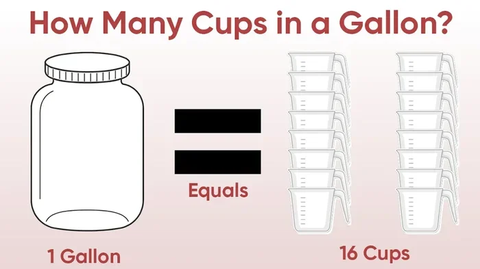 How Many Cups Are in a Half Gallon and Why You Need to Know