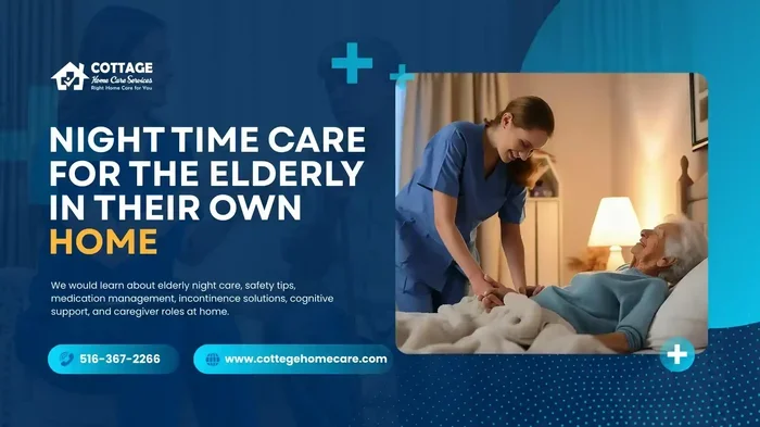 Learn Broadly About Night Sitter for the Elderly!