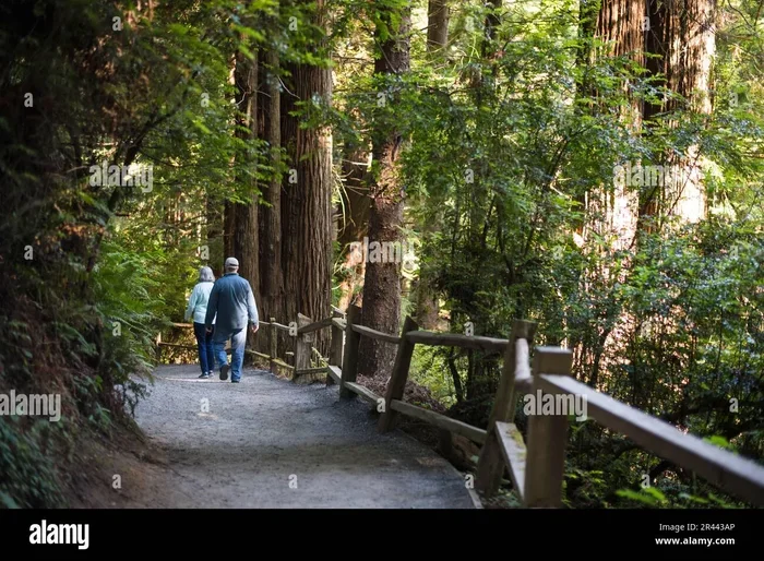 California State Parks Pass for Seniors