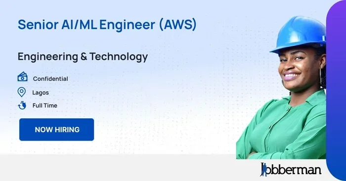 Senior Ml Engineer" at "meta" Linkedin"