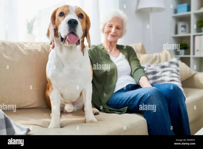 Dog Friendly Senior Homes with Rent Based on Social Security Income