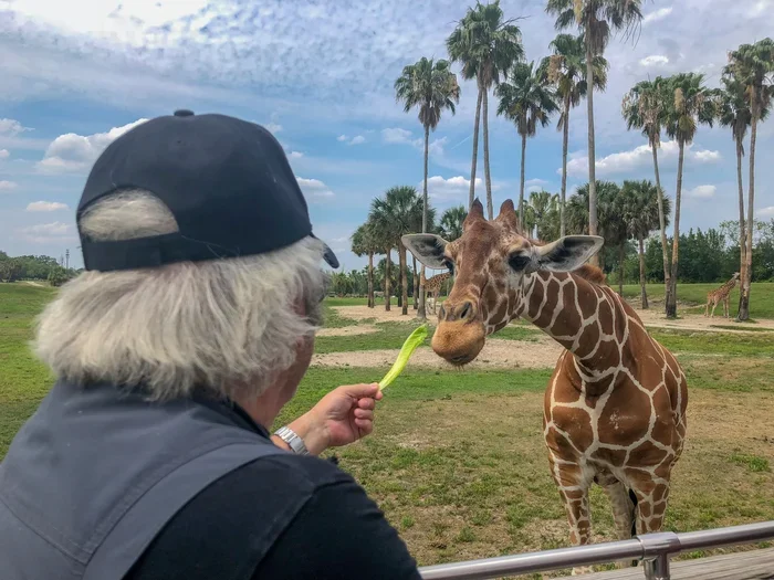 Detroit Zoo Senior Day