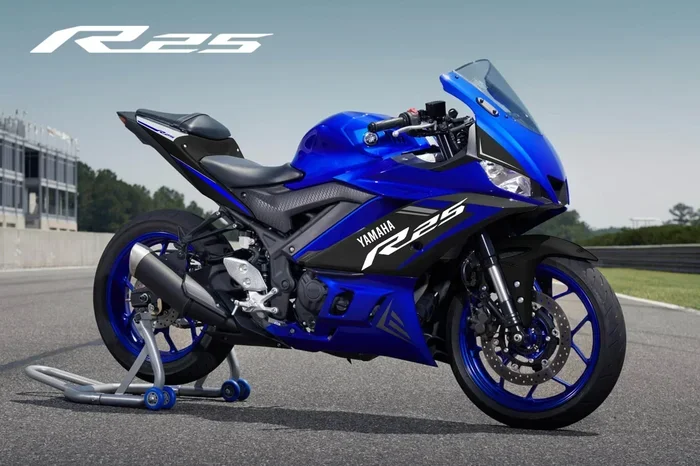 Yamaha R25 Price